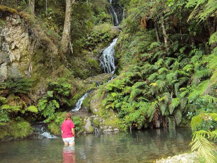 361 Kaiikanui Road Hukerenui and Surrounds_14