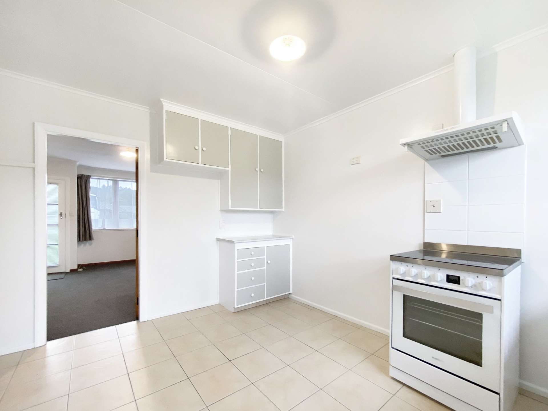 1115a Fergusson Drive 11312_0