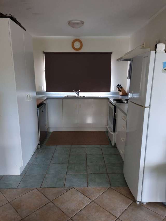 24b Childs Avenue Pukekohe_1