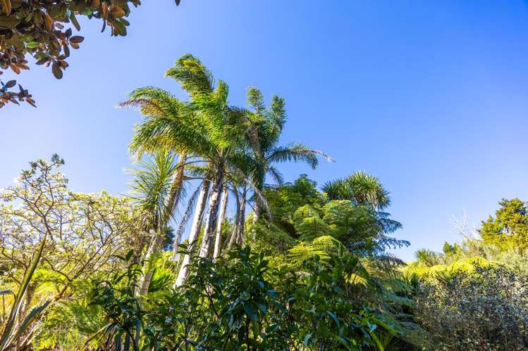 130 Dennis Road Warkworth_5