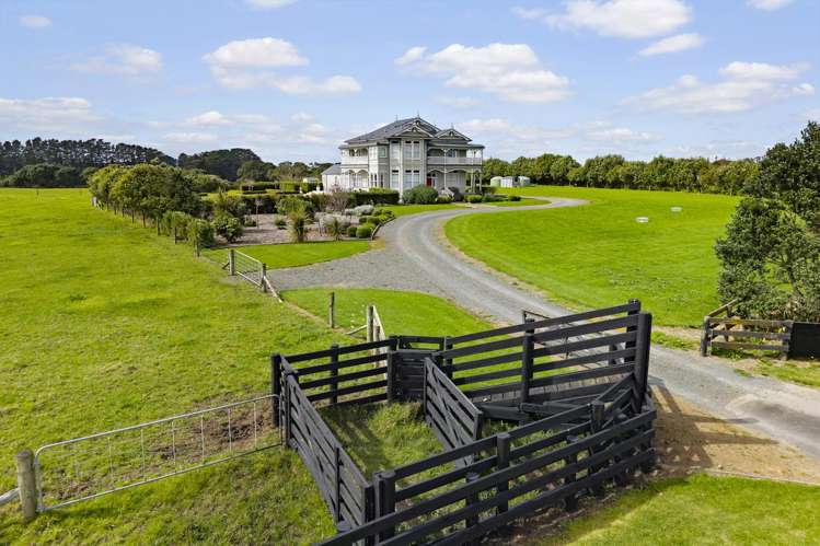 111 Wharf Road Clarks Beach_47