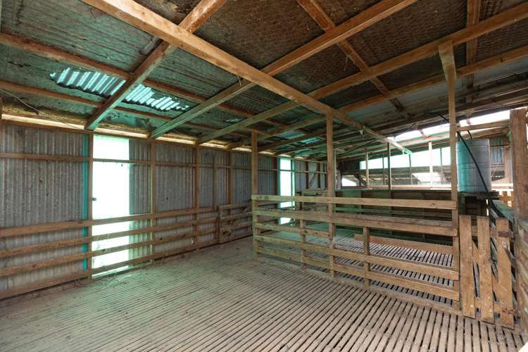 282 Girls High School Road Pukehuia_12