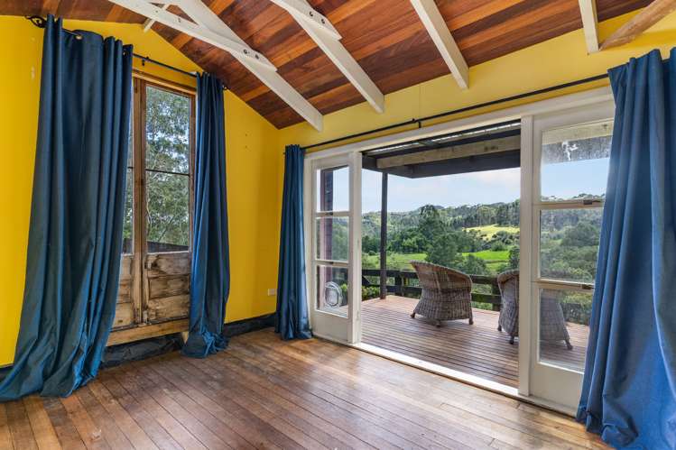 94 Ara-Kotinga Whitford_26