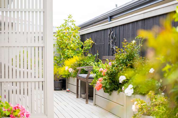 142 Howick Road Witherlea_11