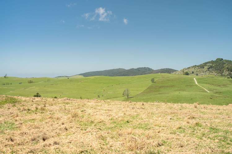 1518 Whangarei Heads Road Whangarei Heads_11