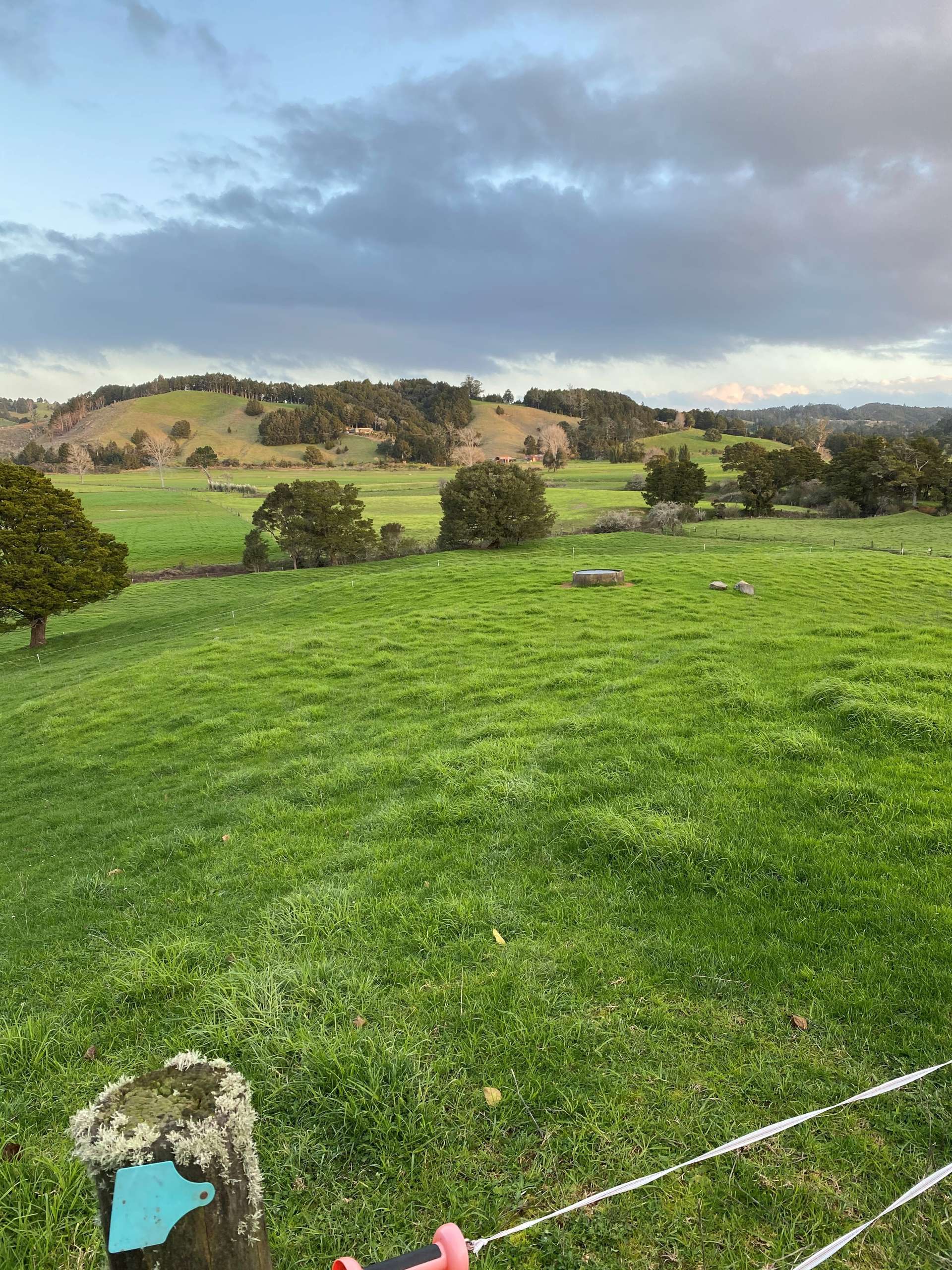 Pigs Head Road Whakapara_0