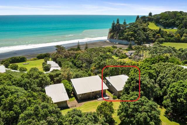Wai-iti Beach Retreat Beach Road Waiiti_1