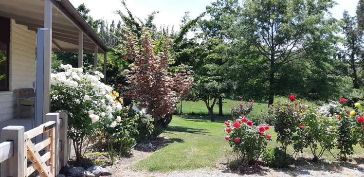180 Blackman Road Alexandra_36