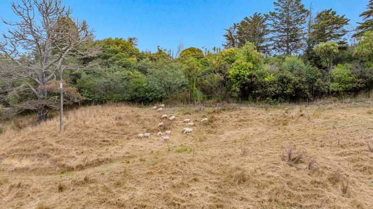 592 Kanohi Road Kaukapakapa_30