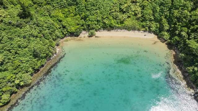 236 Tumbledown Bay Road Port Underwood_3
