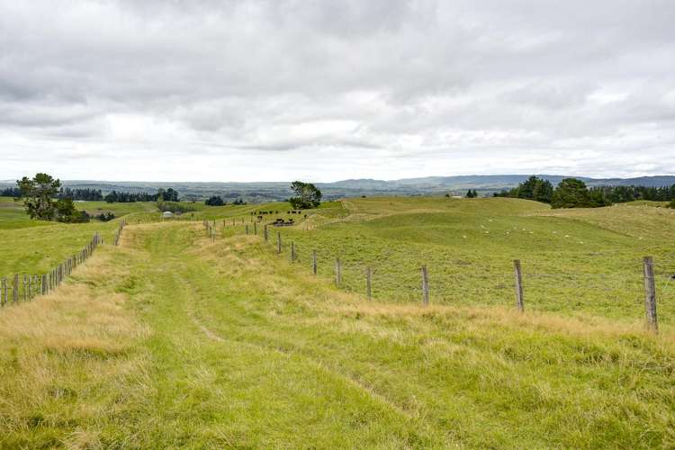 4332 Puketitiri Road Hastings Country_13