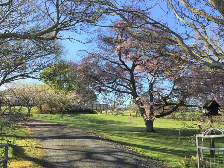 72 Harding Road Turangaomoana_11