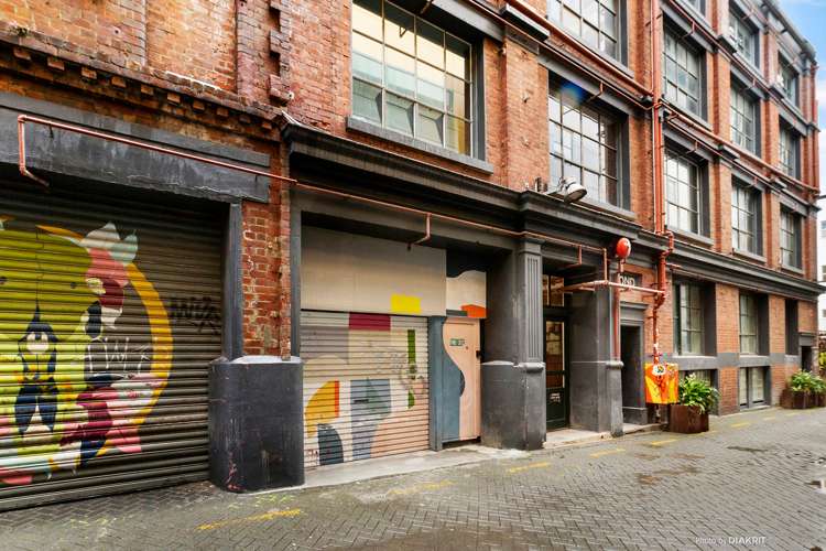 8c Egmont Street Te Aro_11