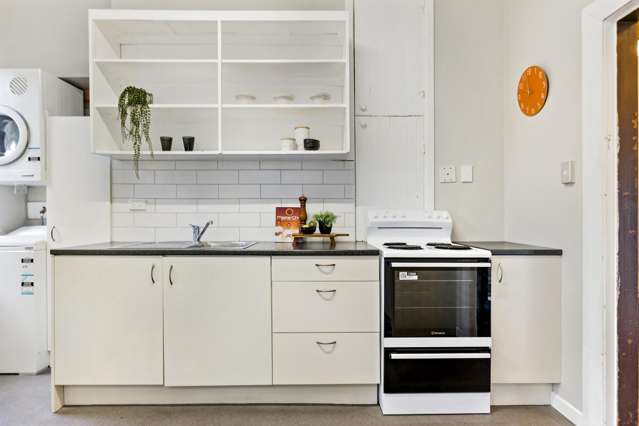 17 Rakau Road Hataitai_4