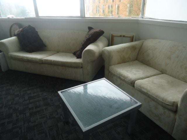 2 Whitaker Place Grafton_3