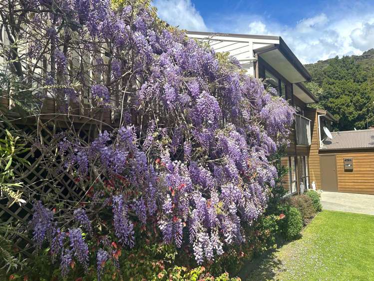 36A Kings Road Paihia_9