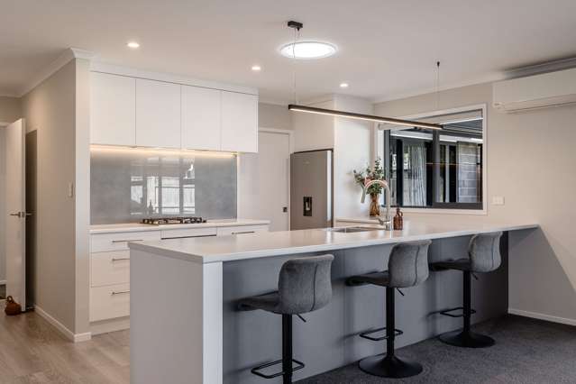 33 Monarch Drive Ashhurst_1