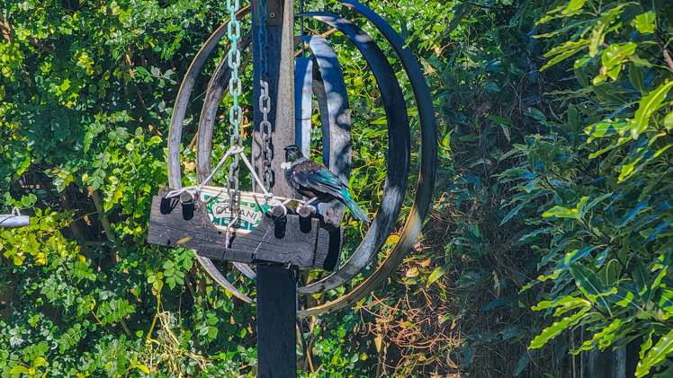 9b Kanawa Street Waikanae_13