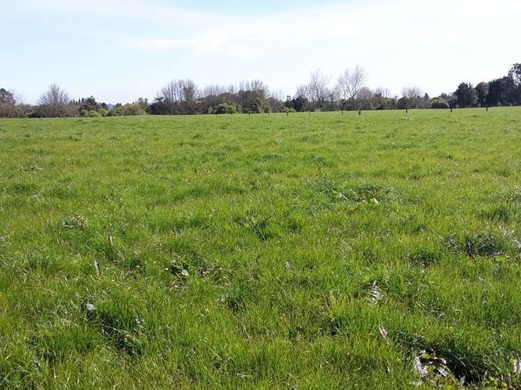 346 Rugby Road Tariki_93