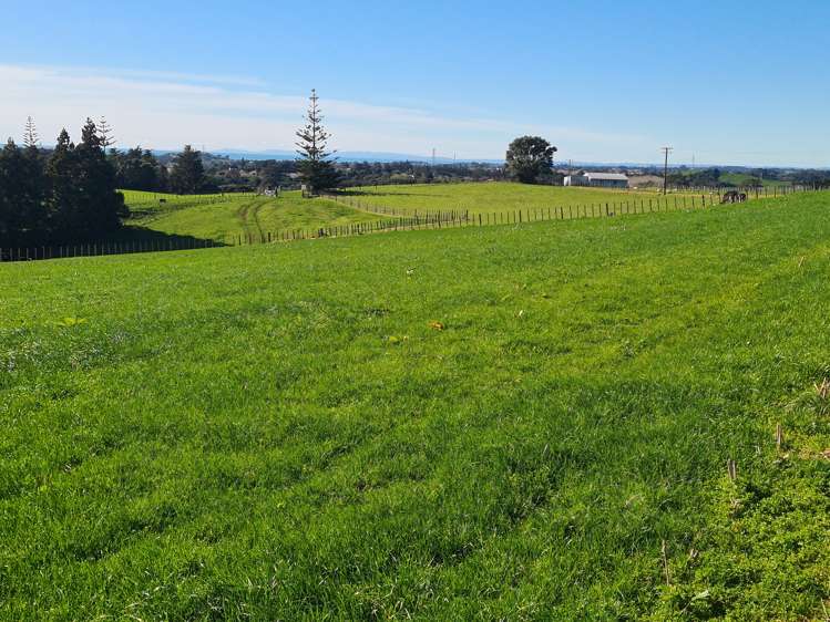 568 South Road Omata_1