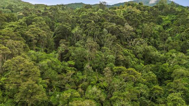 Lot 1 43 Hawaiki Lane Hira_4