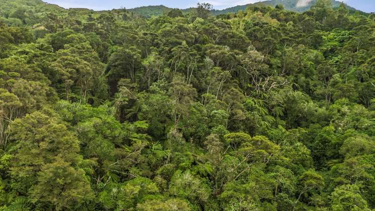 Lot 1 43 Hawaiki Lane Hira_4