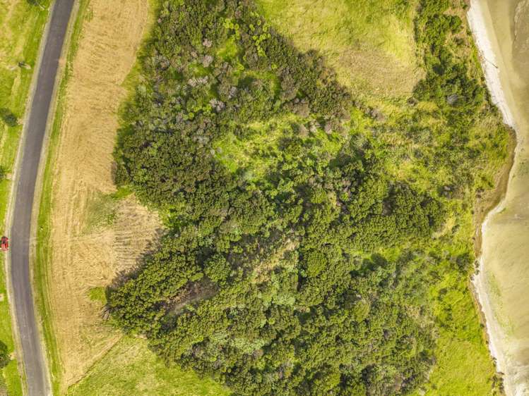 53 Hinamoki Drive Kaiwaka_7