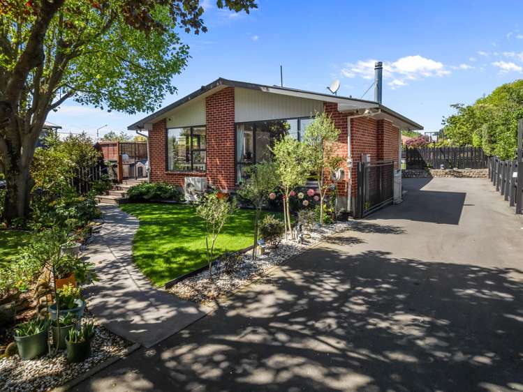 28 Cross Street Allenton_5