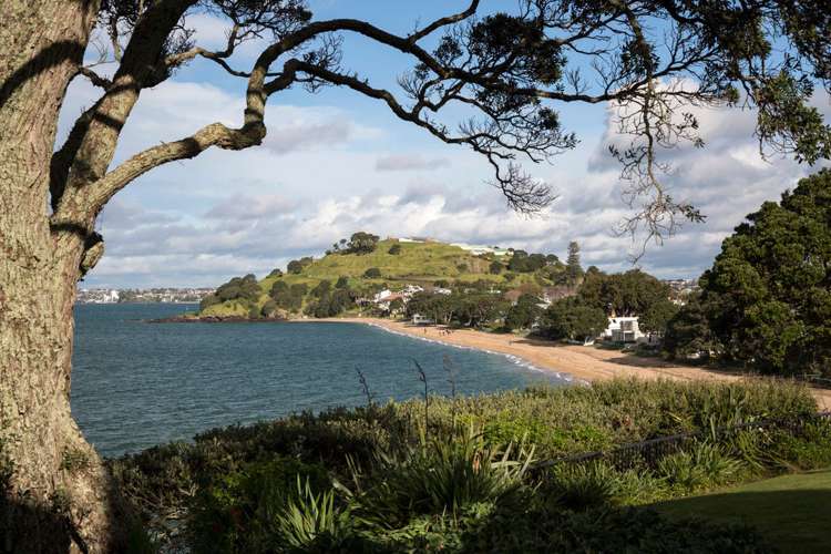 110 Vauxhall Road Narrow Neck_15