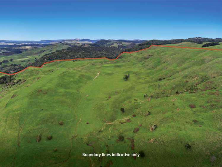 950 Braemar Road Rotoma_13