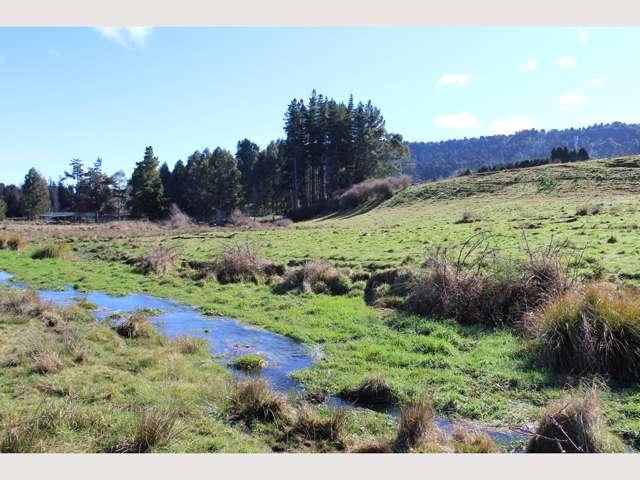 Tawhero Road Ohakune_3