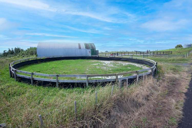 107 Native Road Pukekawa_20