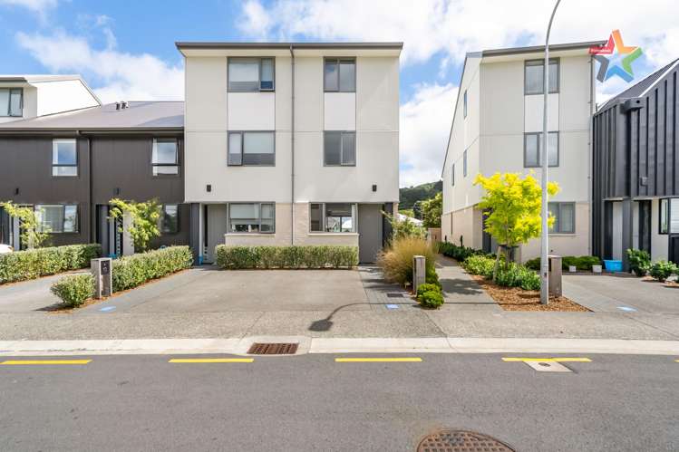 15 Te Ara O Te Amo Hohipene Petone_17