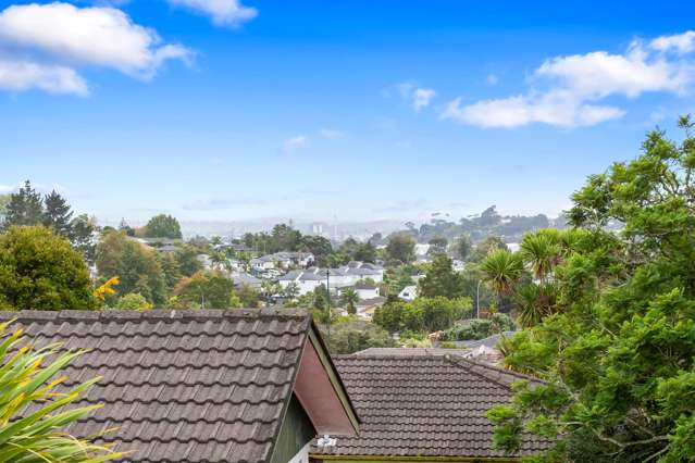 37 Leo Street Glen Eden_3