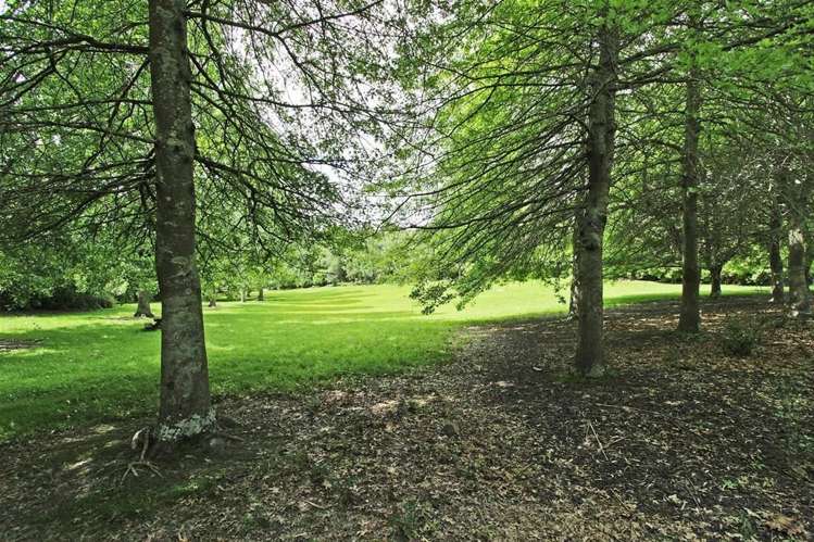 3 Tui Way Toi Toi_15