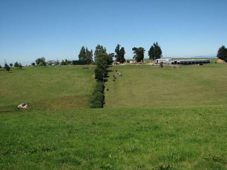 1463 Tuapeka West Road Lawrence_1