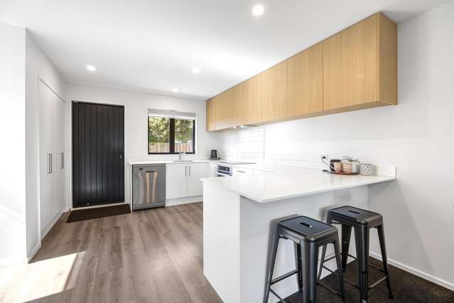 3/63 Wychbury Street Spreydon_3