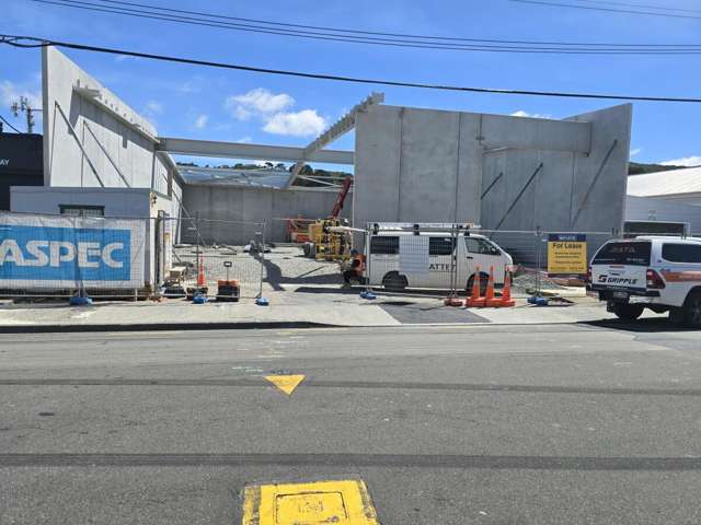 115 Nelson Street Petone_2