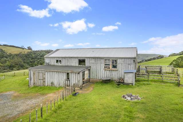 161 Horsman Road Waitakere_3