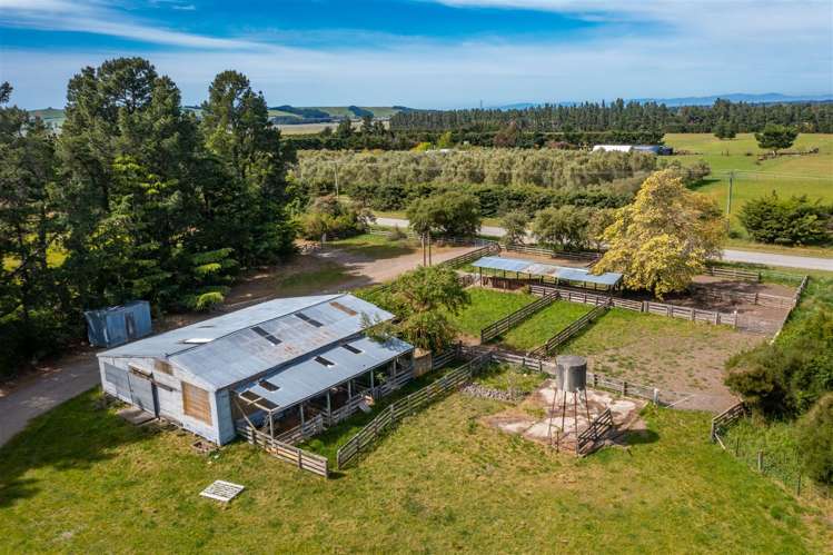 328 Purchas Road Amberley_18