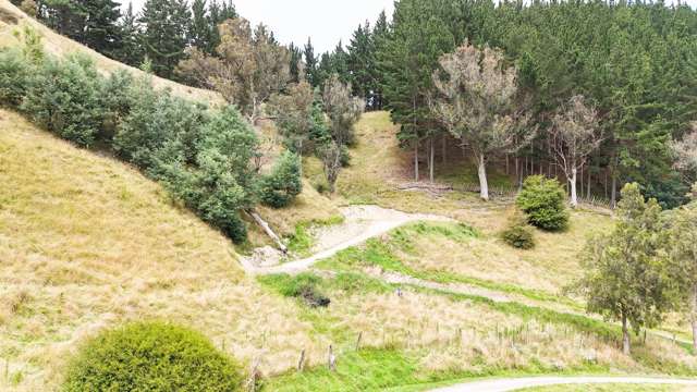 172B Kaukatea Valley Road Okoia_2