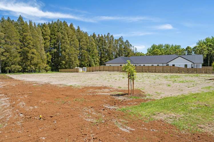 Lots 2 & 3/56 Smithville Road Te Kamo_9
