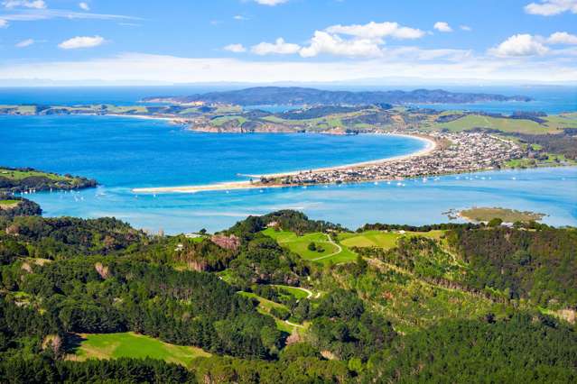 Anchorpoint Forestry - 115Ha