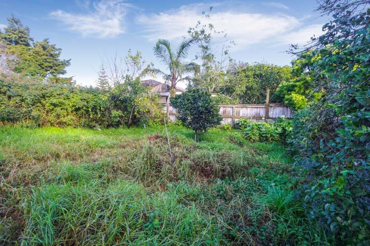 12 Thorley Street Mount Eden_1