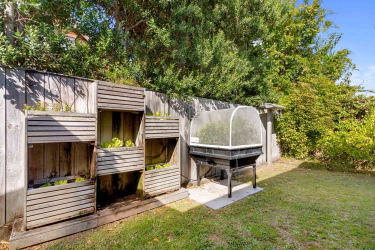 157 Pauanui Boulevard Pauanui_17