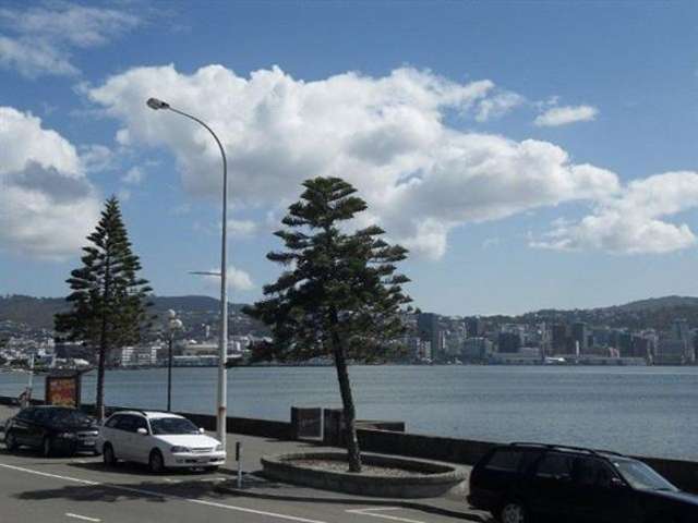 7/370 Oriental Parade Oriental Bay_4