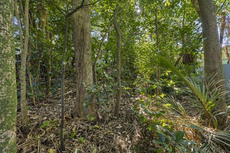 34 Government Road Raglan_8