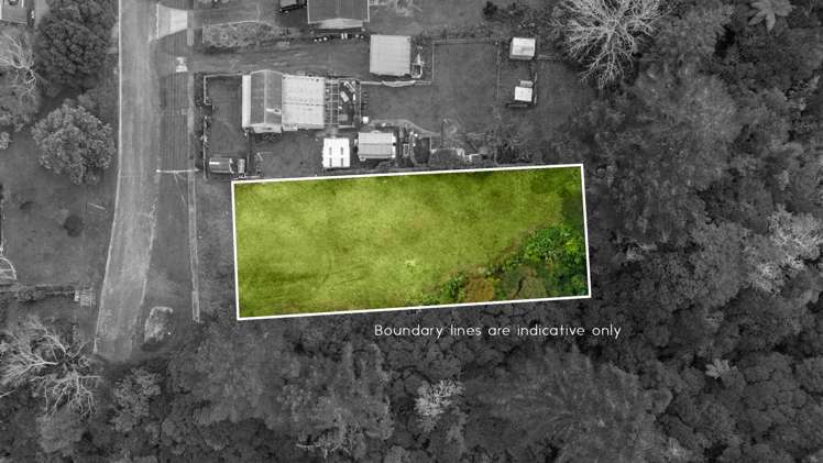 4 Puriri Street_4