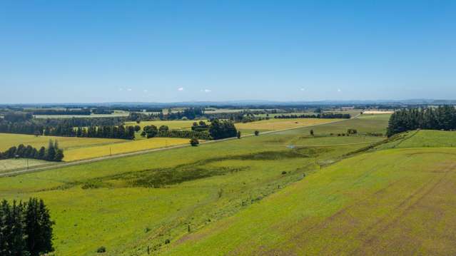 375 Snee Road Takapau_2