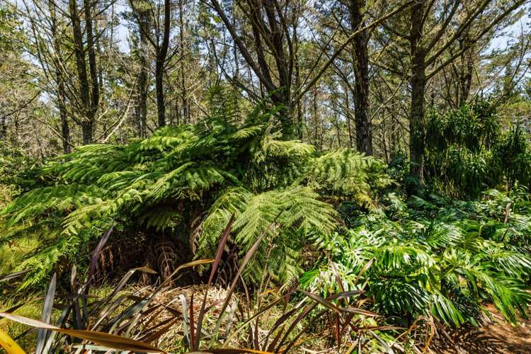 2884A State Highway 10 Mangonui_42